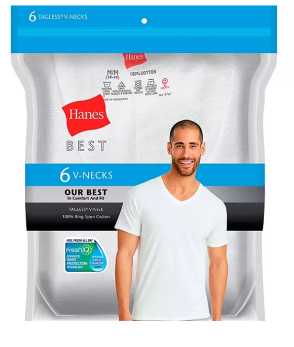 Hanes Best 6-Pack V-Neck T-shirt